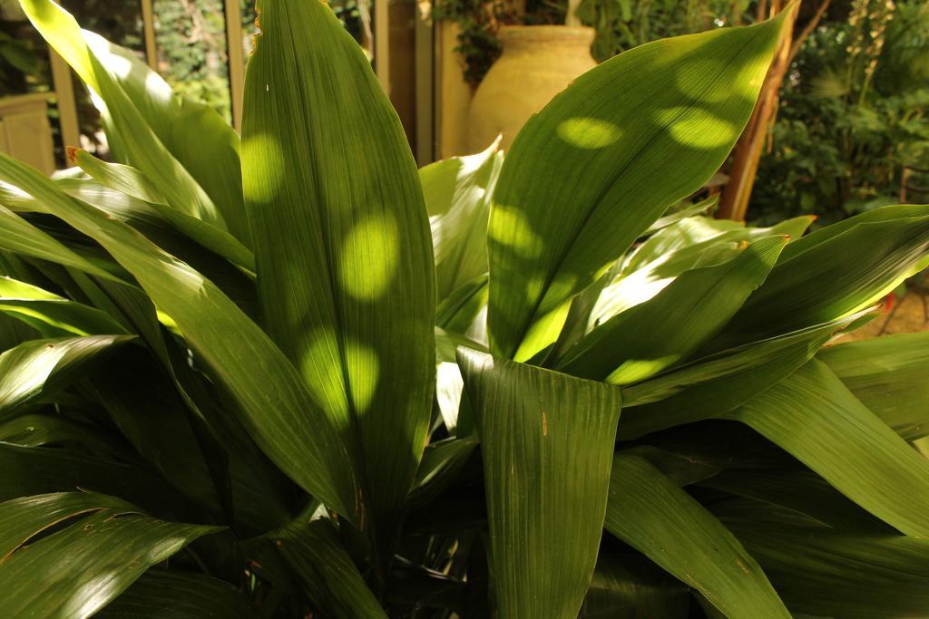 Les Jardins De Baracane Gasthof