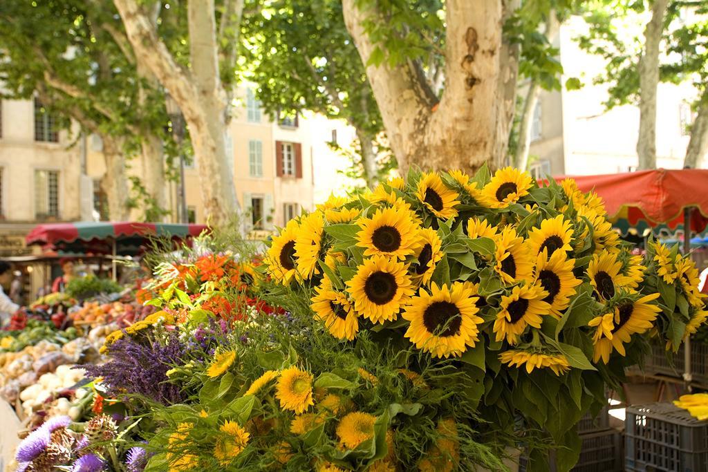Les Jardins De Baracane 2*