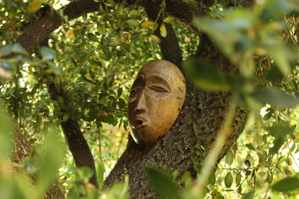 Les Jardins De Baracane Gasthof
